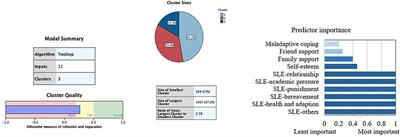 Profiles of Stress and Coping Associated With Mental, Behavioral, and Internet Use Problems Among Adolescents During the COVID-19 Pandemic: A Stratified Random Sampling and Cluster Analysis